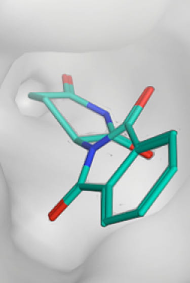 The graph shows how thalidomide binds to the protein Cereblon.