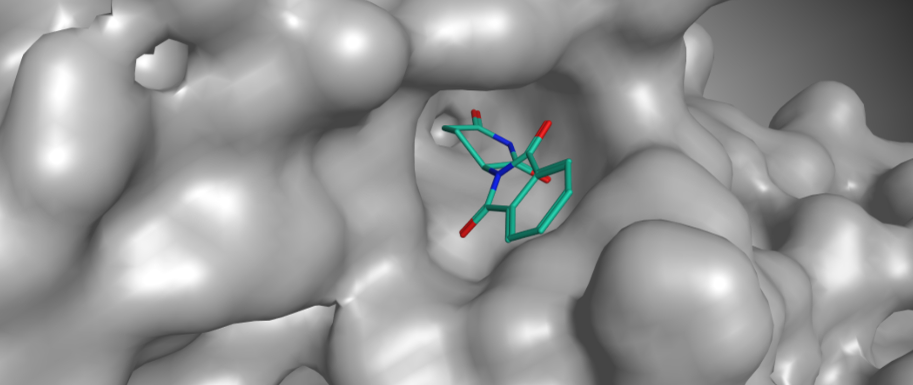 The graph shows how thalidomide attaches itself to the protein molecule Cereblon.