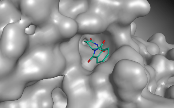 The graph shows how thalidomide binds to the protein Cereblon.